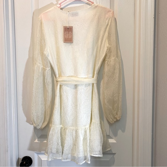 Anthropologie I Champagne and Strawberry Embossed Organza Faux Wrap Mini Dress - Picture 6 of 7